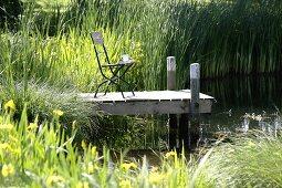 Folding chair with a cup on wooden jetty