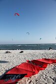 View of people kite surfing in sea, Fehmarn, Schleswig-Holstein, Germany