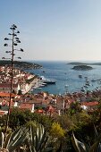 Kroatien: Hvar, Küste, Hafen, Meer- blick