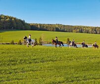 Women riding horse in western woods, Swabia, Augsburg, Bavaria, Germany