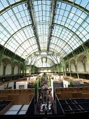 Dome of Grand Palais Museum in Paris, France