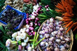 Different types of garlic in basket