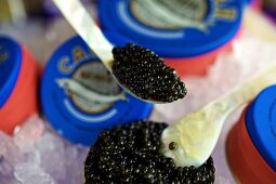 Close-up of caviar on spoon