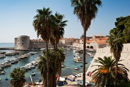 Kroatien: Dubrovnik, Altstadt, Blick auf den alten Hafen