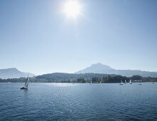 Panoramic view of sail boats in Lake Lucerne, Alps, Lucerne, Switzerland
