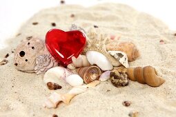 Different sea shells with red heart on sand
