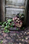 Beetroot in a wooden crate