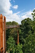 View of Treetop walk in Kew Gardens, London, England, UK