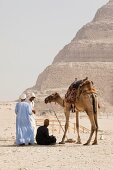 Arab people sitting with camel in desert against Pyramid of Djoser, Saqqara, Egypt