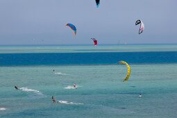 Kites flying over Red sea El Gouna, Egypt