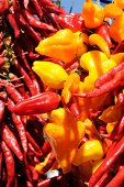 Close-up of different types of colourful peppers