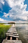 Polen:  Ermland-Masuren, Masuren, nahe Mikolajki, Vogelinsel