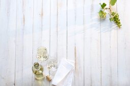 White wine, white wine grapes and napkin in Kaiserstuhl, Southwest Germany, overhead view