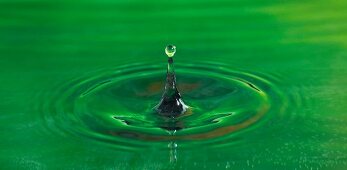 Wasseroberfläche, Wassertropfen, grün, close-up