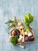 Old root vegetables and turnips in a crate