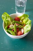 Warm asparagus salad with lettuce, tomatoes and radishes