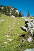 Chiemgau Alps mountain range in Bavaria, Germany