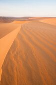 Sand dunes at Wahiba sands, Oman 