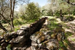 Stone fence of Santa Cristina sacred well in Paulilatino, Oristano, Sardinia, Italy