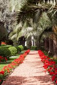 View of pebbles pavement with flower plant and palm trees at Bahai Garden, Haifa, Israel