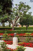 View of pebbles pavement with flower plant and palm trees at Bahai Garden, Haifa, Israel