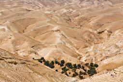 Israel, Wadi Qelt, Judäische Wüste, Westjordanland