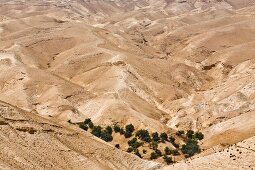 View of rolling landscape at Wadi Qelt in Judean Desert, Israel