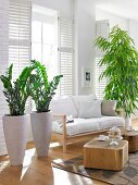 Living room with wooden furniture, carpet and plants