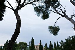 View of Elijakirche, Mount Tabor and Jesus Trail in Jezreel Valley, Israel