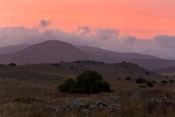 View of mountains and landscape at dawn, Galilee, Israel