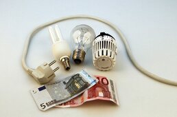 Glühbirne, Energiesparlampe, Stromkabel, Geld