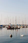 View of boats moored in Lake Geneva, Lausanne, Canton of Vaud, Switzerland