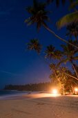 View of beach and palm trees at night in Tangalle, Hambantota District, Sri Lanka