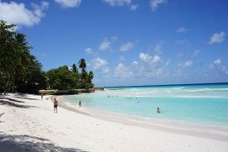 View of Lesser Antilles island at Caribbean, Barbados