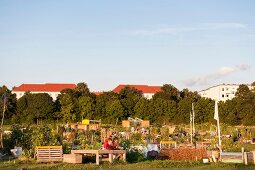 People in Tempelhof garden, Berlin, Germany