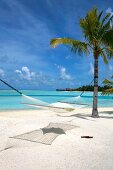 Hammock tied to tree on beach in Veligandu Huraa Island, Maldives