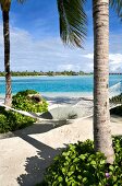 Hammock tied to tree on beach in Veligandu Huraa Island, Maldives