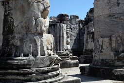 View of Apollo temple in Didyma, Turkey