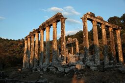 Ruins of Temple of Zeus at Euromos in Aegean, Turkey