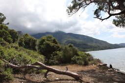 Türkei, Türkische Ägäis, Halbinsel Dilek, Nationalpark, Landschaft