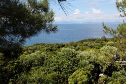 View of landscape in Dilek Peninsula National Park, Turkey