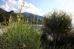 View of landscape in Dilek Peninsula National Park, Turkey