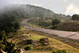 Türkei, Türkische Ägäis, Spil Dagi, Nationalpark, Straße