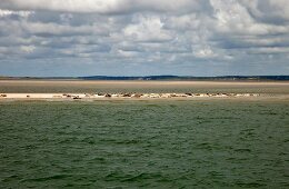 View of Fano Beach, Denmark