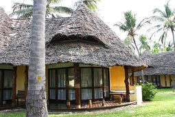 Coconut trees and thatched houses in Zanzibar Island, Tanzania, East Africa