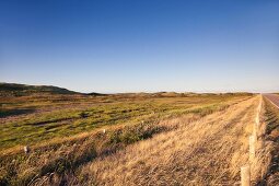 View of field in Brackley-Dalvay, Prince Edward Island National Park, Canada