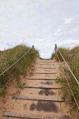 Close-up of sand dunes with wire fence in Prince Edward Island National Park, Canada