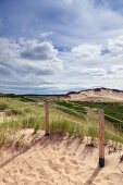 Close-up of sand dunes with wire fence in Prince Edward Island National Park, Canada