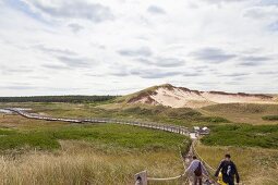 Sand dunes and wooden bridge in Greenwich,  Prince Edward Island National Park, Canada