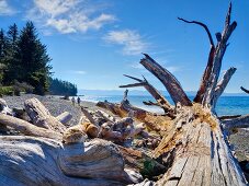 Kanada, British Columbia, Vancouver Island, French Beach Provincial Park